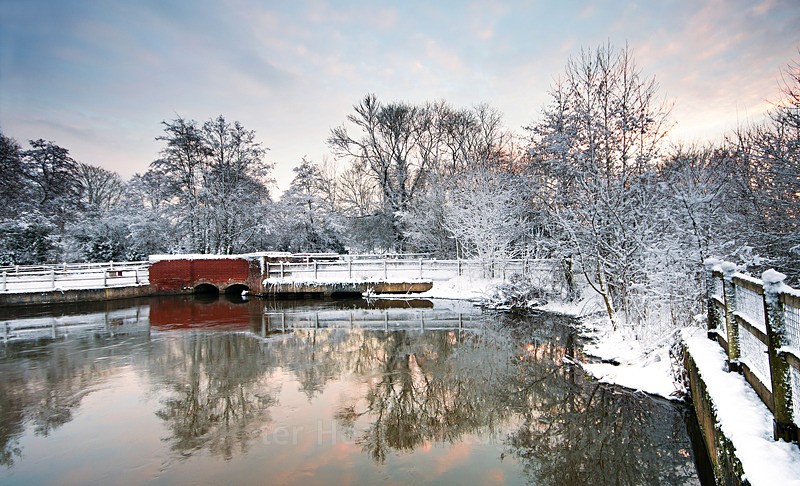 IMG_7392 Costessey Mill - Landscapes
