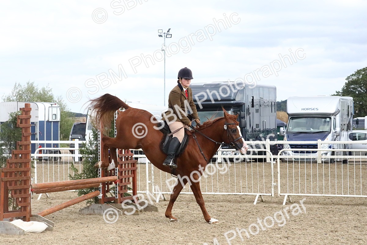 SBM_16389 - Class 508b - Working Veteran 70cm (20+)