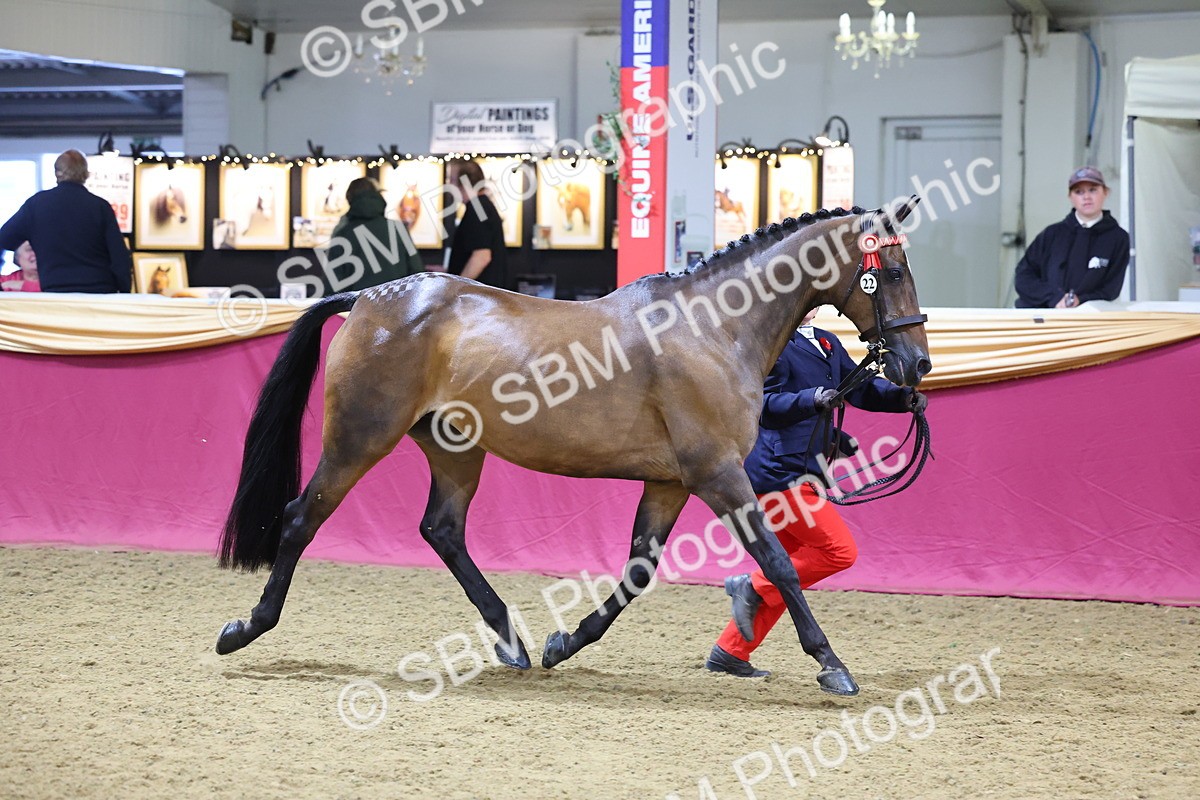 SBM_21016 - Class 902 - Supreme Final IH Veteran