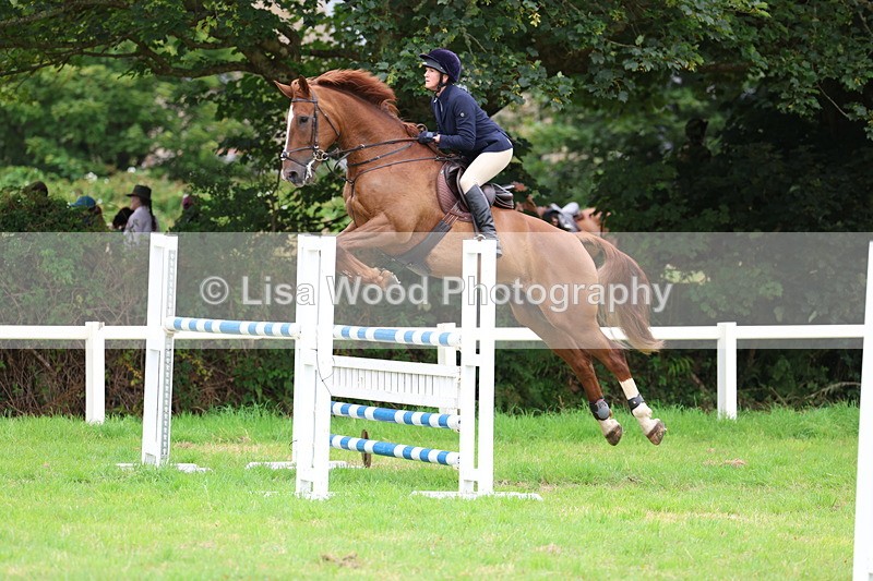 3E7A8381 - Class 8: Senior Foxhunter/1.20m open