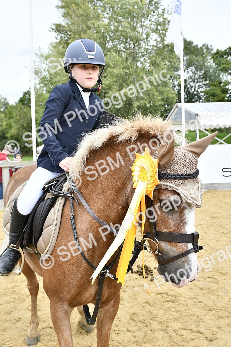SBM_66264 - J2a mini Tour Junior Pony 30cm Championship