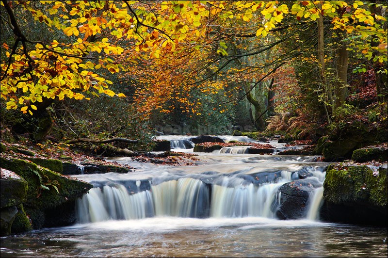 Rivelin Valley - Photographs of Woodland & Rivers