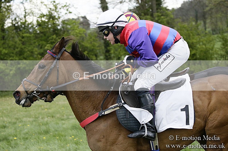 PtP 170417 457 - Old Berks Point-to-Point Lockinge 17/04/17