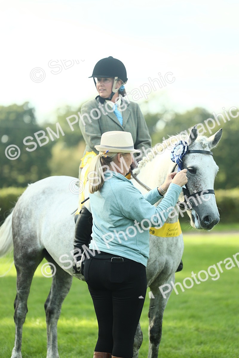SBM_52299 - Working Hunter Supreme Championship