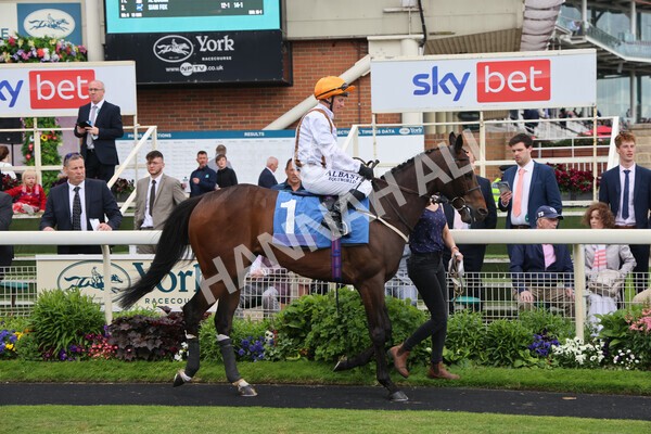 yr11062022r7-2 - Race 7 4.50pm The Ice Co Supporting Macmillan Stakes