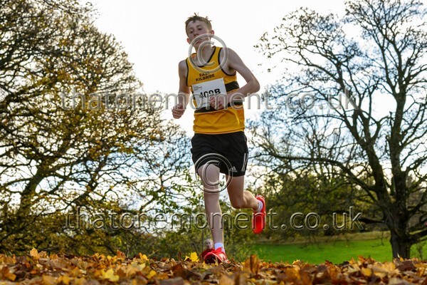 NatRel25-914522 - Young Male Set Two