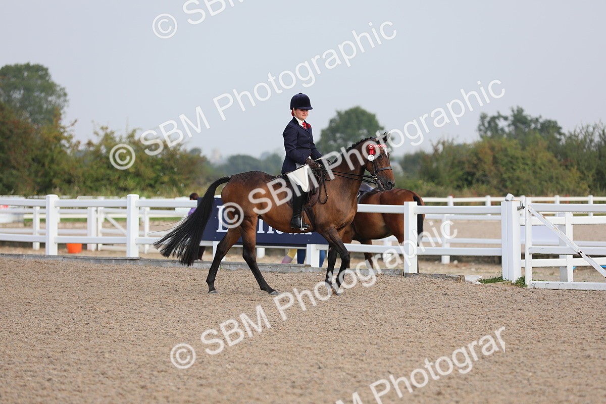 SBM_10655 - Class 303 Ridden Pure Bred Horse/Pony (excl M&M)