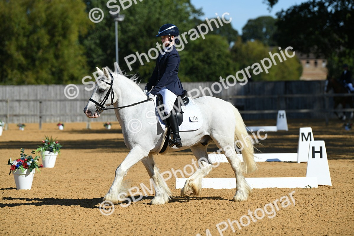 SBM_18109 - D4 - Small Tour Championship - Intro B