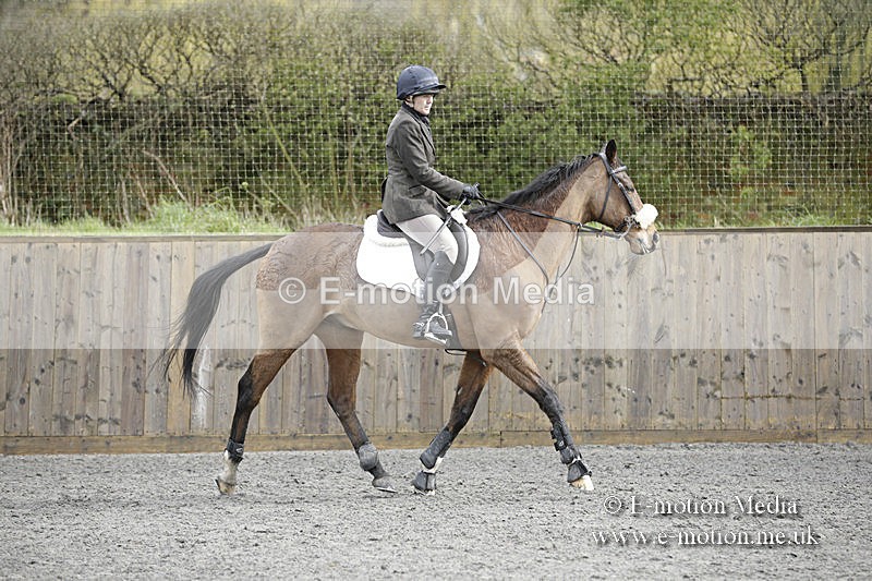 BVRC 050320 0351 - Bourne Valley riding Club Show Jumping Tidworth 08/03/20