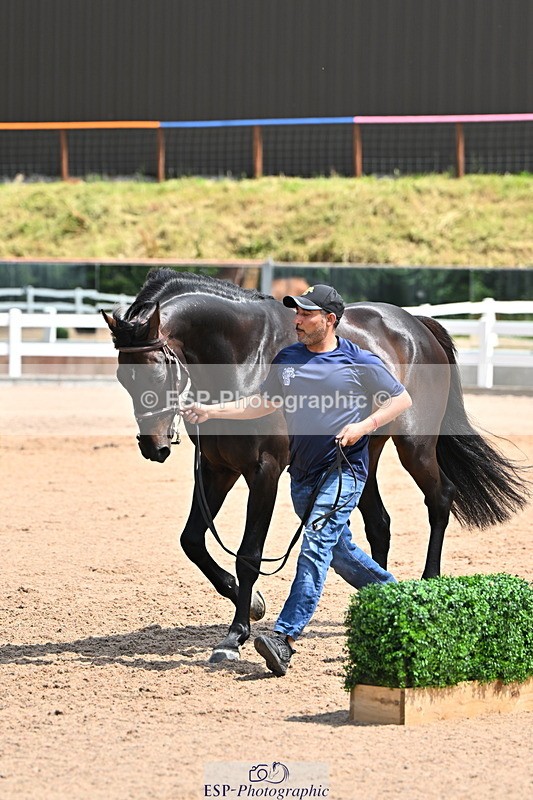 240718A-105301-01450 - Trot Up 12pm to 1pm