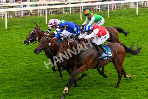 100923-Race 6-Anjo Bonita-1082 - Race 6 4.25pm Hanson Springs 60th Anniversary Handicap at York