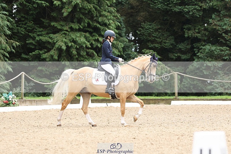 240810-143304-03672 - 301-Sophia.Longworth-Don.Deluxe