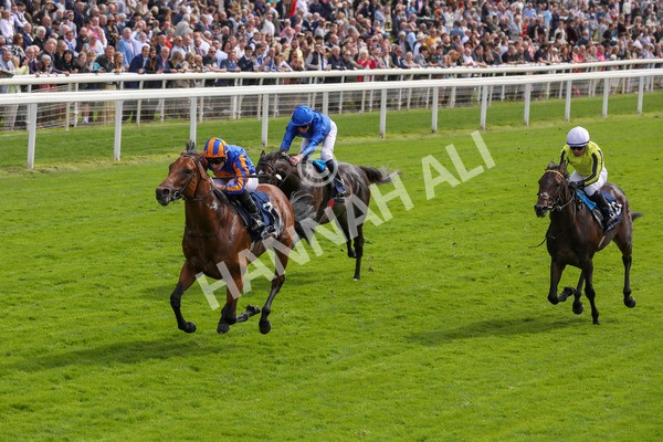 210824-Race 2-The Lion In Winter-7214 - Race 2 2.25pm Tattersalls Acomb Stakes