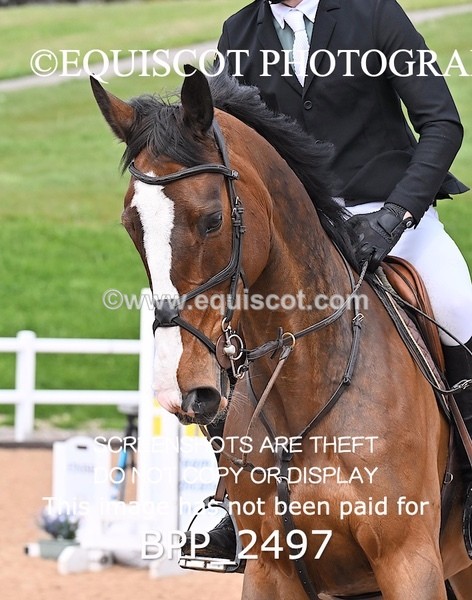 BPP_2497 - CLASS 7 - FRI - Senior Foxhunter/1.20m Open