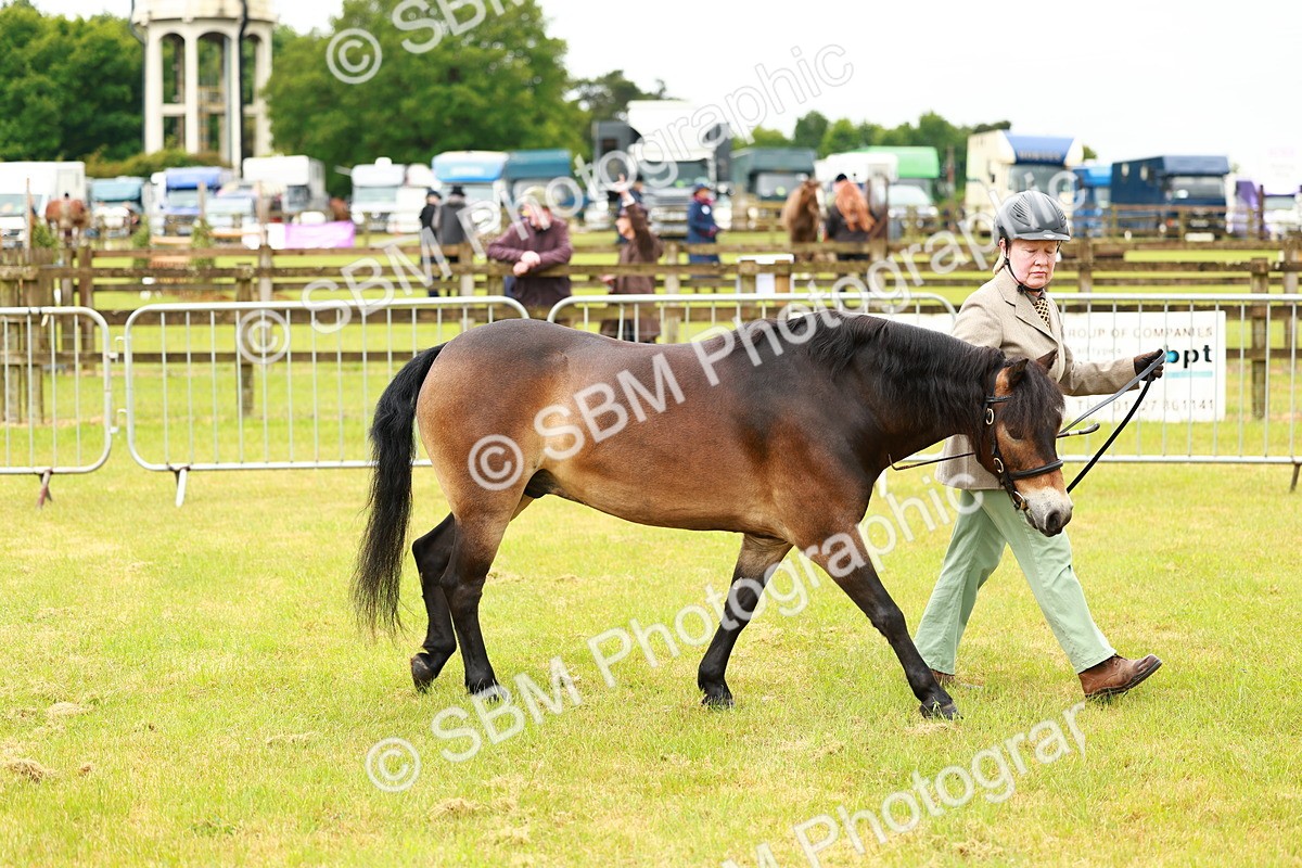 SBM_00253 - Class 58-67 - M&M Non Welsh Pony In hand
