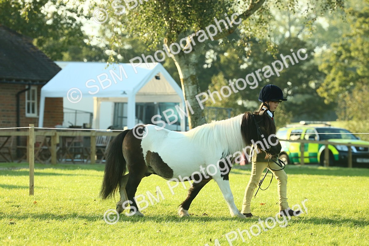 SBM_57282 - S37 - Starters In Hand Showing