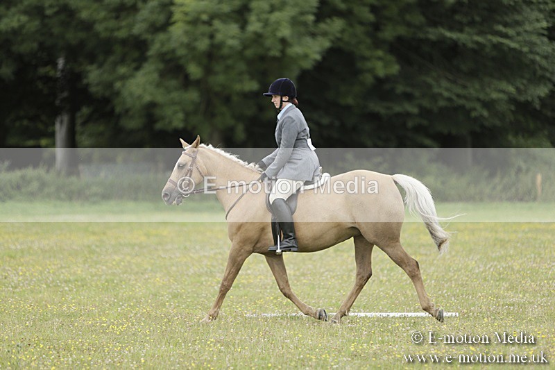 BVR160717-1191 - Class 2 Dressage 16/07/17