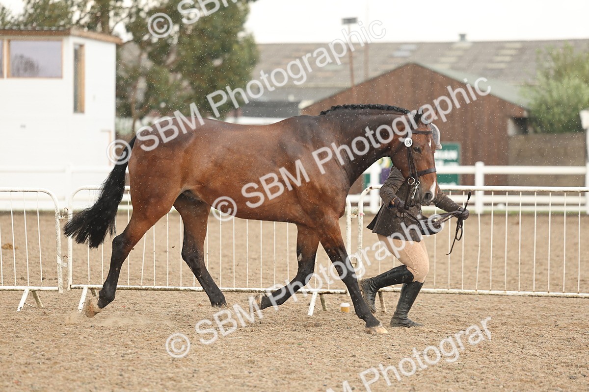 SBM_07720 - Class 27 - IH Competition Horse/Pony