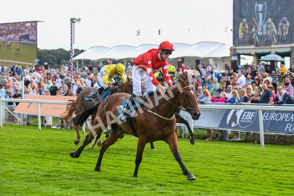 280723-Race 1-Tele Red-0074 - Race 1 5.00pm Pearly Cow Handicap