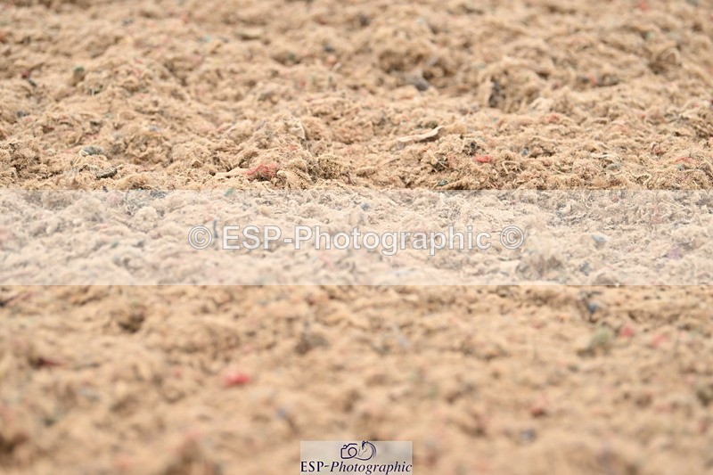 240623A-151245-19523 - Cls 51 BD Elementary 53