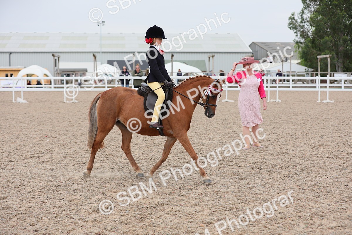 SBM_18153 - Class 316 Best Pony/Rider Combination