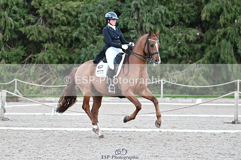 231110-163938-02710 - Cls 14 FEI Grand Prix