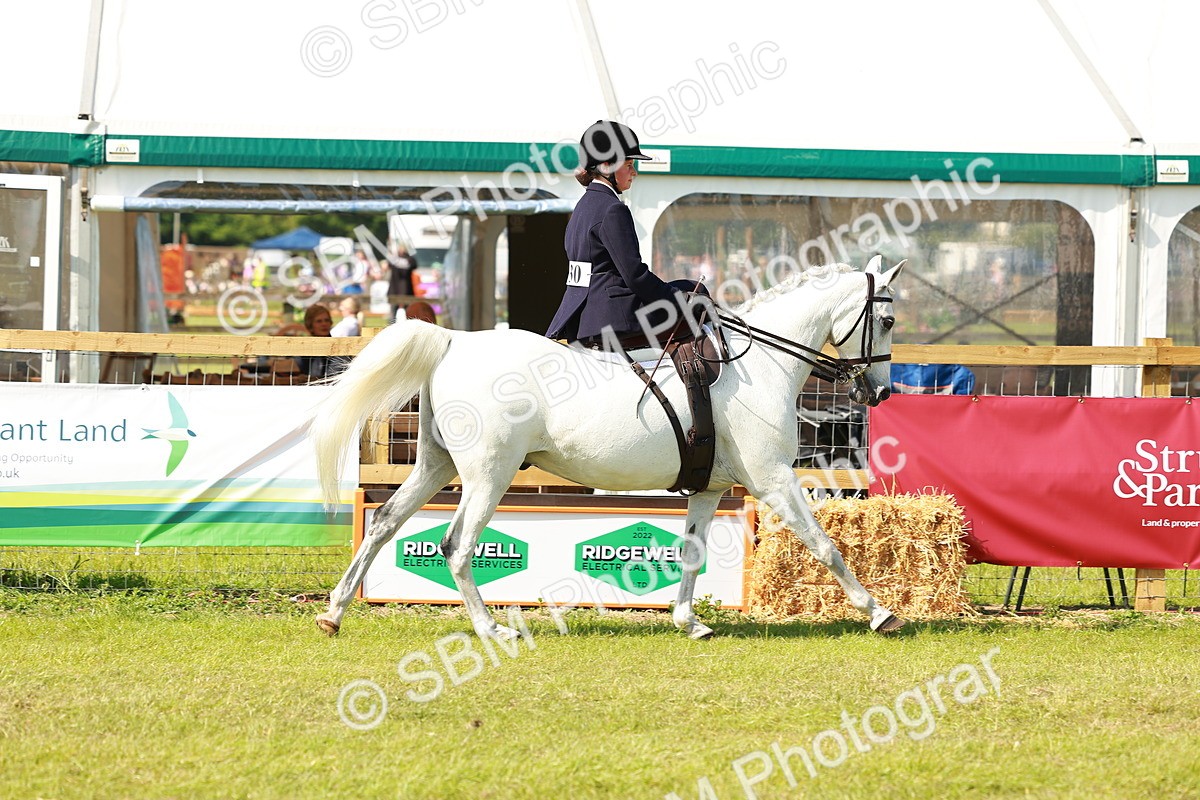 SBM_13145 - Class 70-71 - Side Saddle