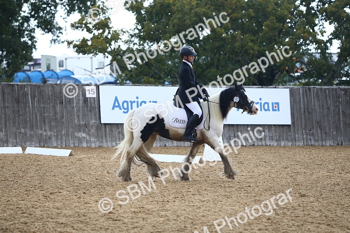 SBM_42577 - D21 - Junior Championship Intro 1