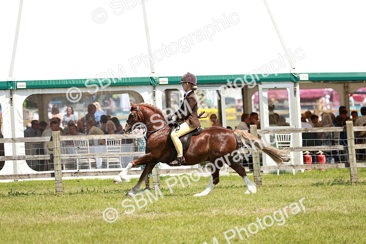 SBM_15798 - Class 108-109 - BSPS LIHS Open Gradle & Nursery Stakes