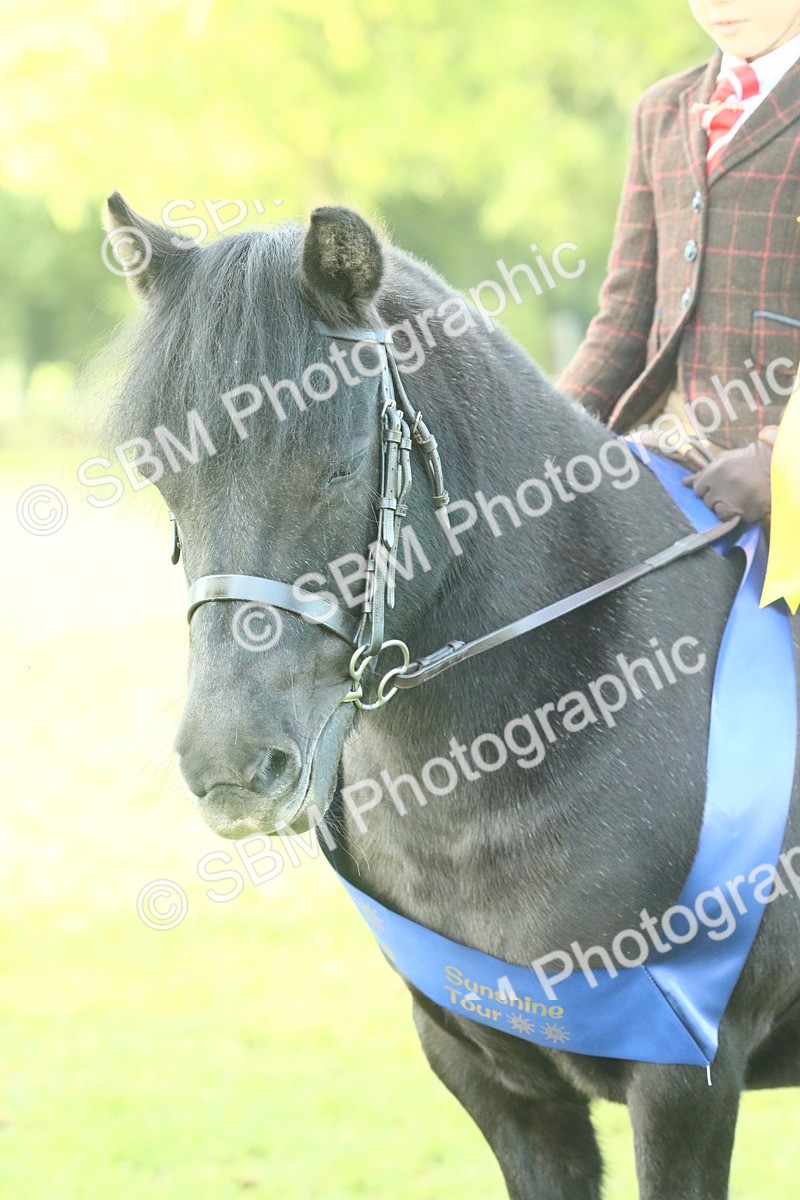 SBM_61115 - Starter Supreme Championship