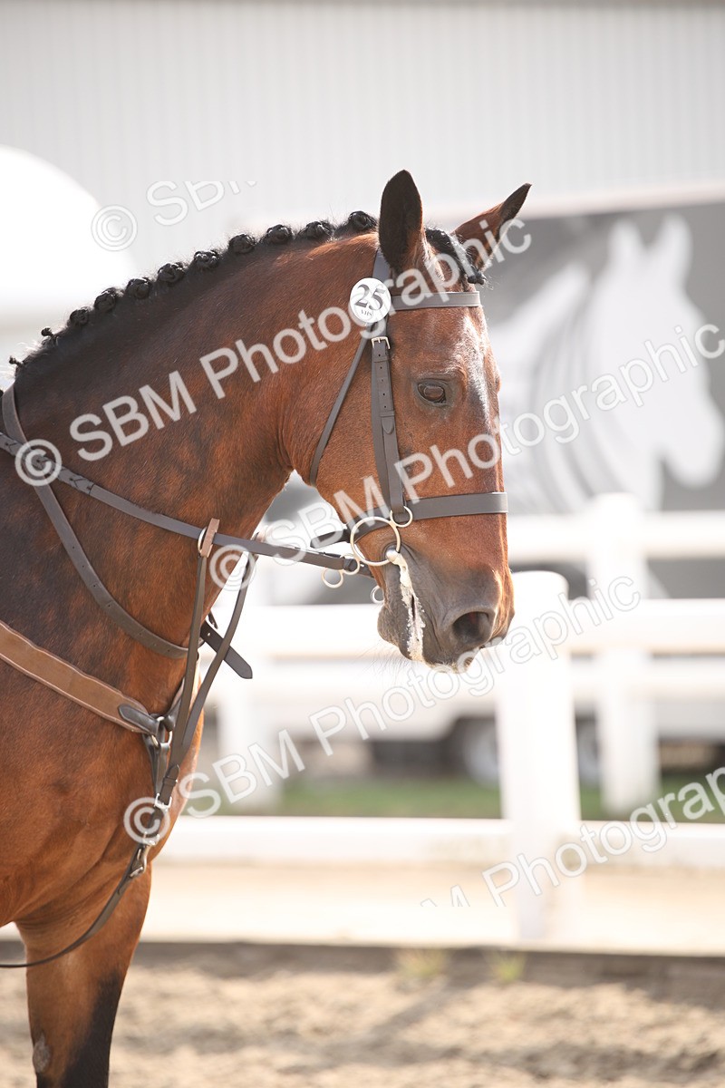 SBM_14361 - Class 407b - Working Veteran 60cm (20+)