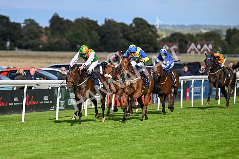 170925-Race 5-Hashtagnotions-5387 - Race 5