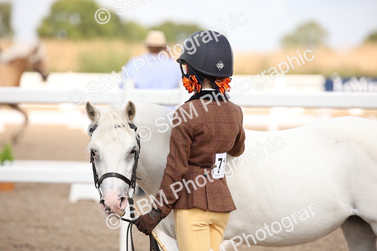 SBM_03755 - Class 19 Judge's Favourite