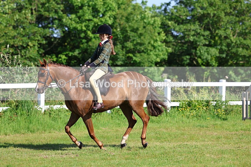 3E7A5991 - Class 27: Novice Working Hunter Pony