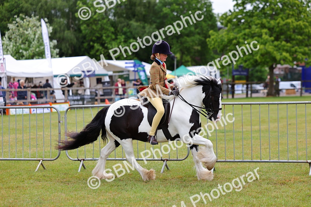 SBM_02625 - Class 9-11 Side Saddle including LIHS Rising Star Ladies Show Horse