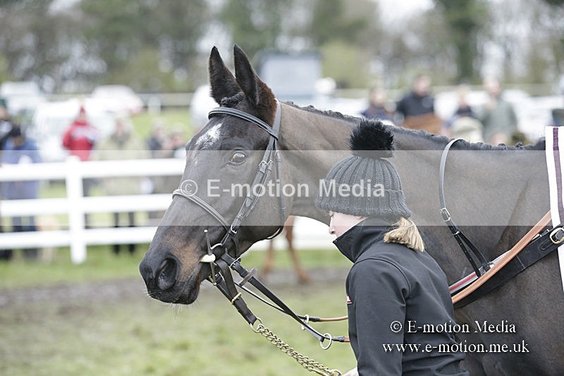 PtP 150320 0551 - New Forest Point-to-Point Larkhill 15/03/20