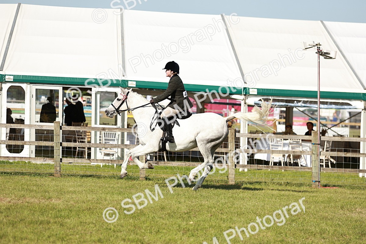 SBM_19263 - Class 115-116 - LIHS BSHA Rising Star Working Hunter & Show Horse