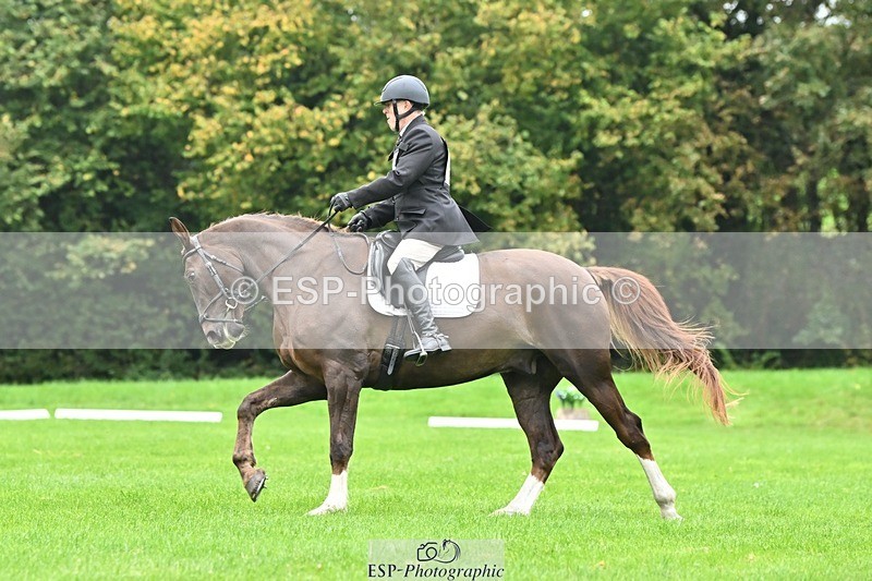 241024-111215-02390 - 315-Andrew.Winterton-STALLONE