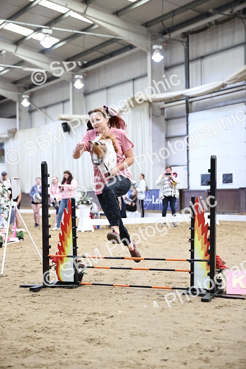 SBM_000768 - Class 8 - 30cm