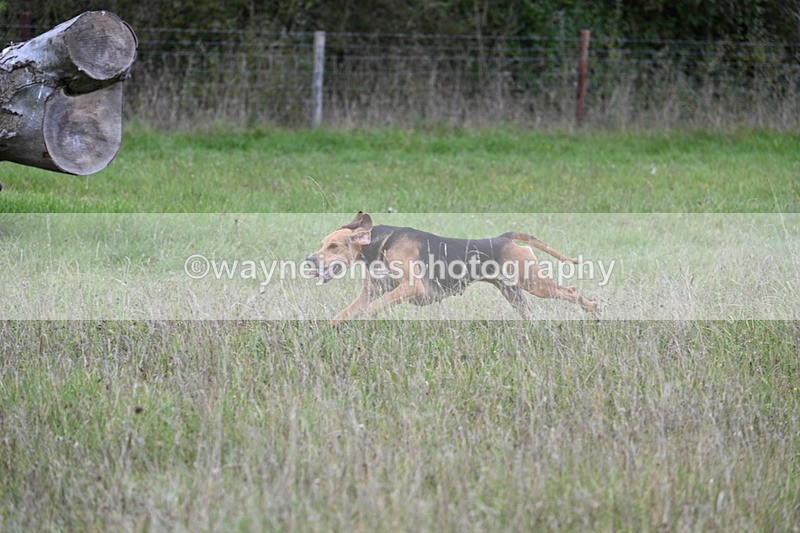 WJ7_3508 - Camera 1 Line 1