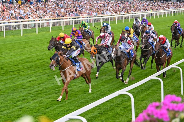 260725-Race 4-Air Force One-7592 - Race 4 3.20pm Sky Bet 'Jump Jockeys' Nunthorpe' Handicap