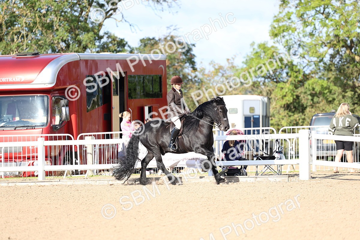 SBM_08944 - Class 302 - Ridden M&M - Large Breeds