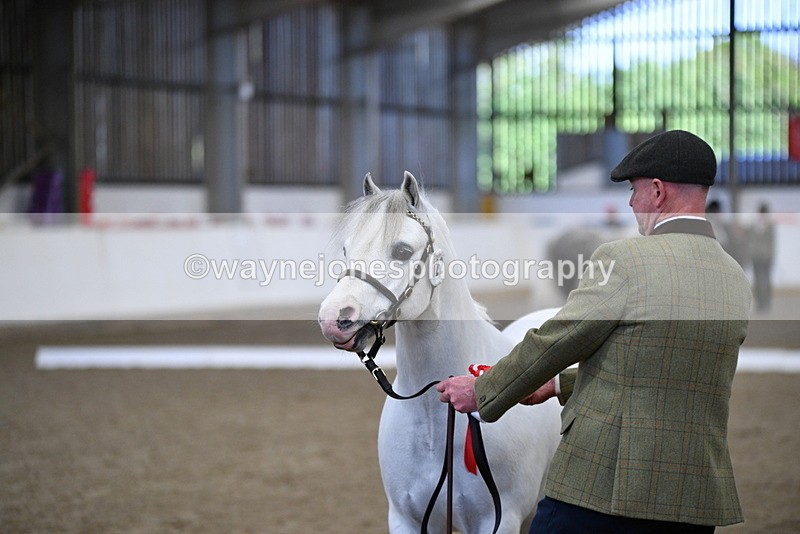 WJ5_5520 - Class 4 In hand M&M - small breeds