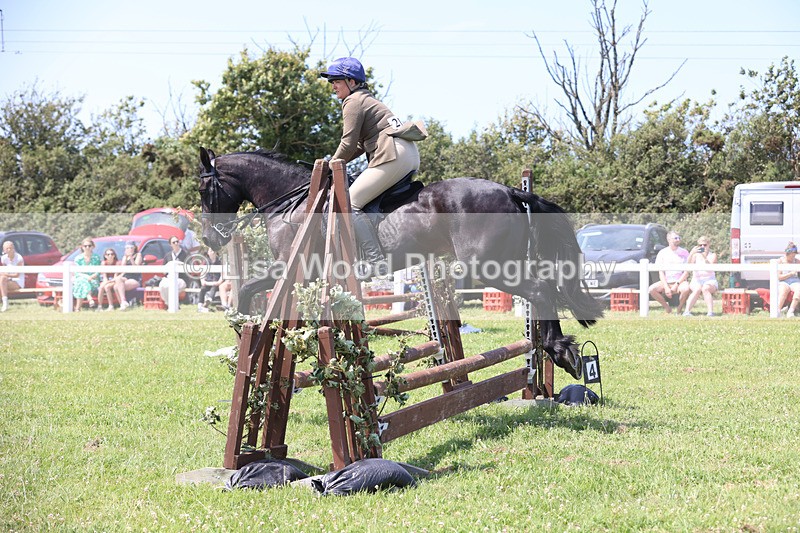 JPP_2542 - Class 21: Working Hunter 60cm