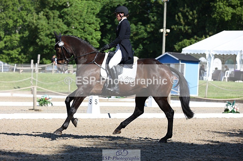 230526-091834-05031 - 353-THE_RIPPER-Bundy_Philpott-WEDTrotUp+DR