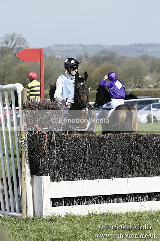 PtP 260317 29 - Mendip Farmers Point-to-Point Ston Easton 26/03/17