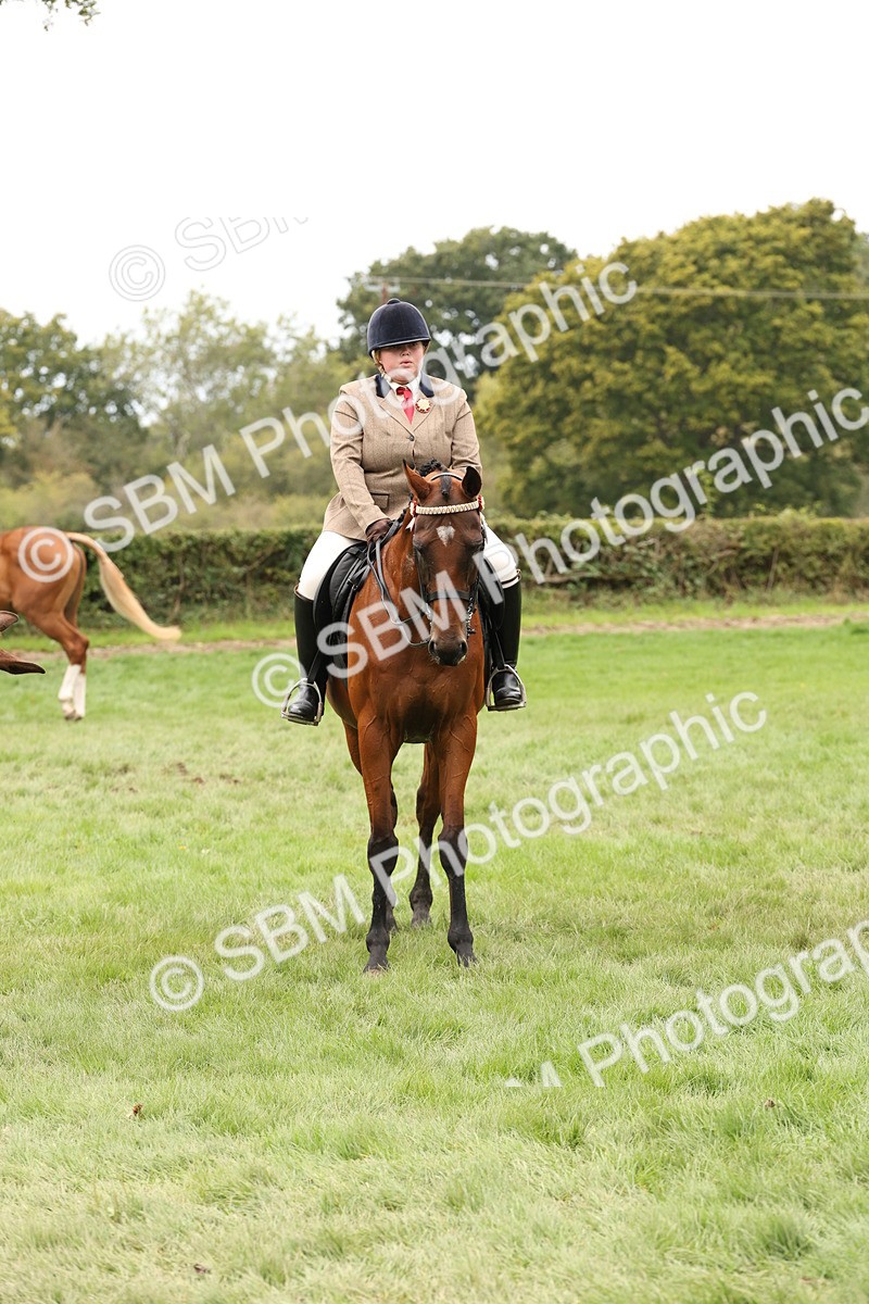 SBM_64273 - S65 - Riding Horse & Hack & Thoroughbred Ridden