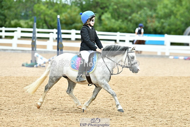 230804A-120240-02437 - Showjumping Competition