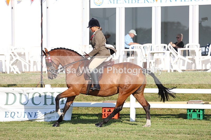 3E7A5027 - Class 1: Rising Star Small Hack/Riding Horses
