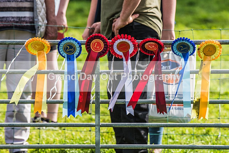Loweswater Show-33 - Loweswater Show Junior & Senior Fell Races Sunday 3rd September 2023